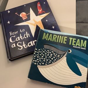 ⭐️2/$12⭐️Set of two board books